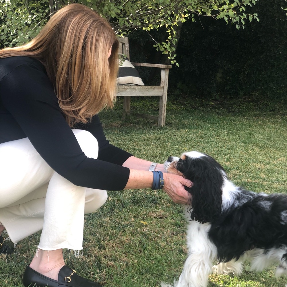 Meet your Posher, Shelley